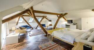 Отель Hotel Gradska Cetinje Цетине Представительский люкс-4